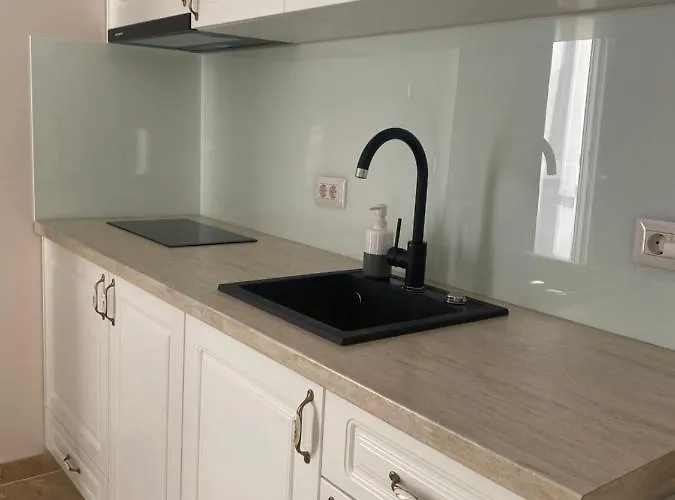 Cu Un Dormitor 3* Тимишоара