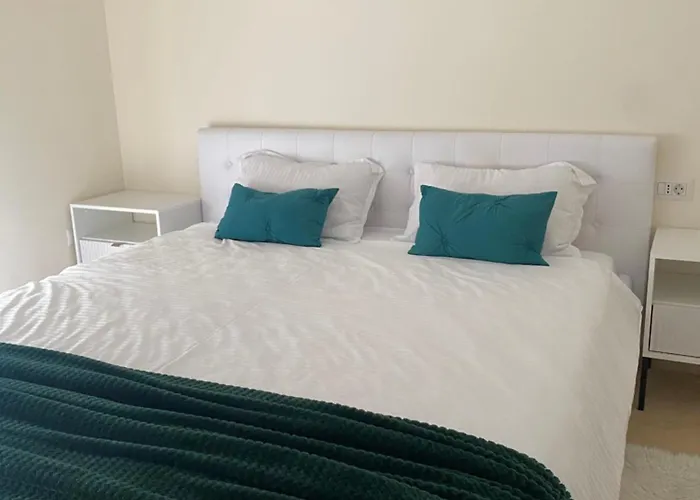 Cu Un Dormitor Тимишоара