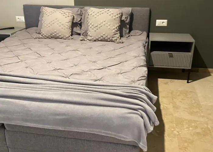 Bed & Breakfast Cu Un Dormitor Timişoara